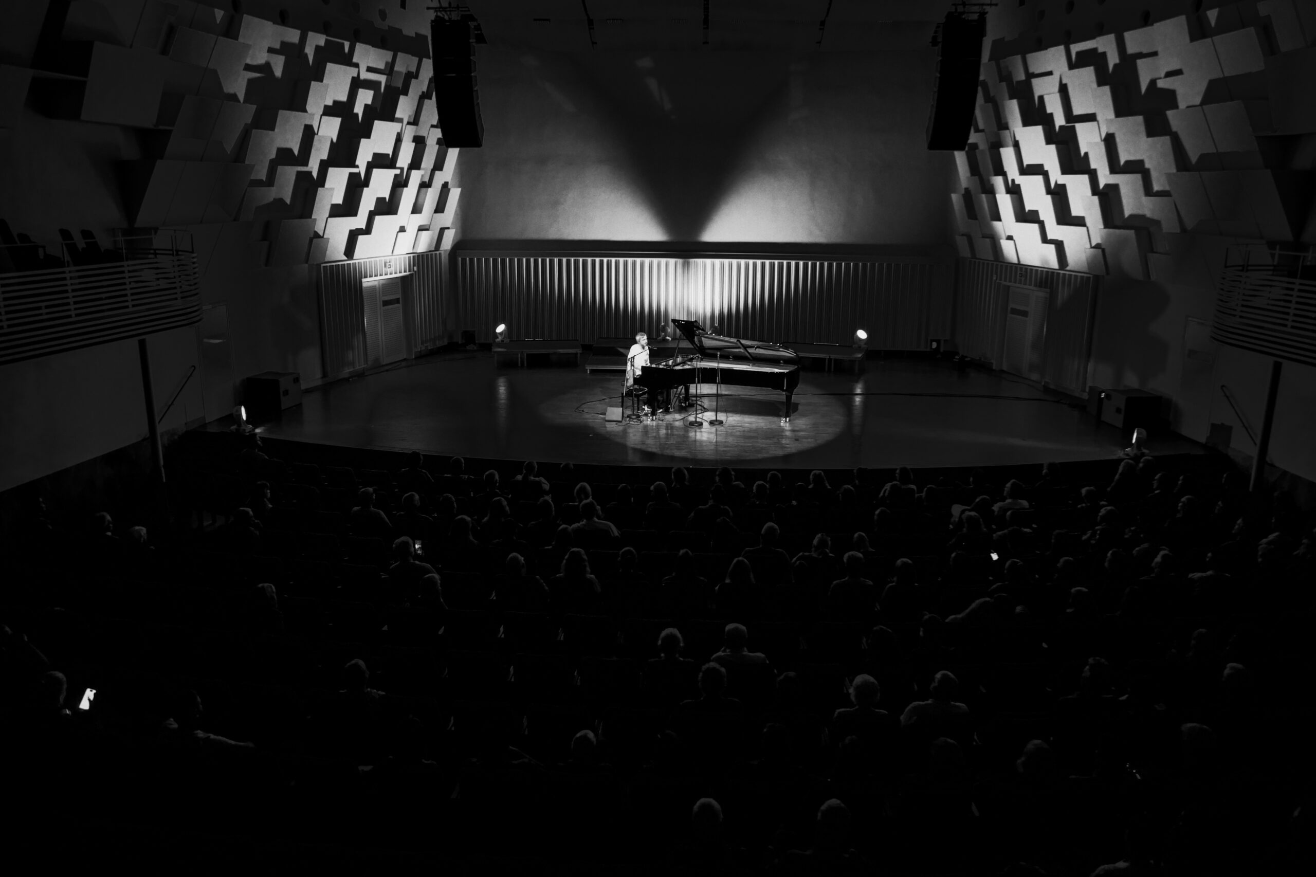 Owl Image